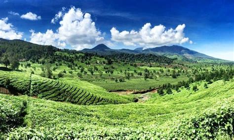 Pemandangan Gunung Kendang